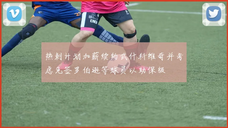 热刺计划加薪续约武什科维奇并考虑免签罗伯逊等球员以助保级